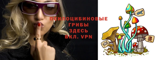 PSILOCYBIN Беломорск