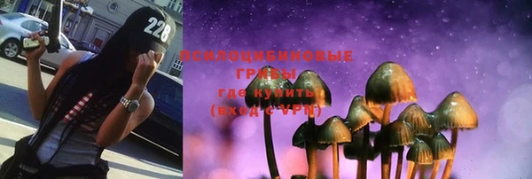 mix Белокуриха
