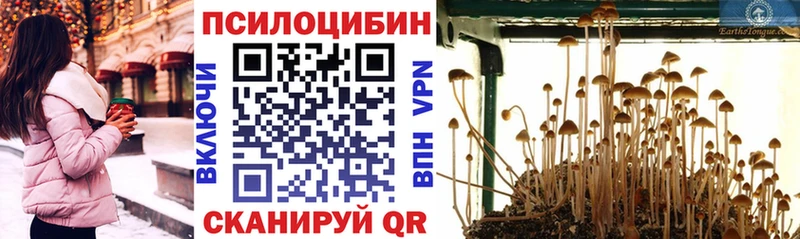 Галлюциногенные грибы прущие грибы  магазин    Будённовск 