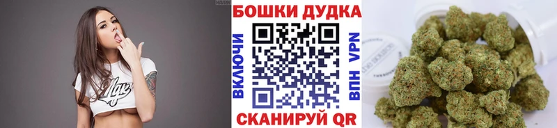 что такое наркотик  blacksprut ТОР  Канабис план  Будённовск 